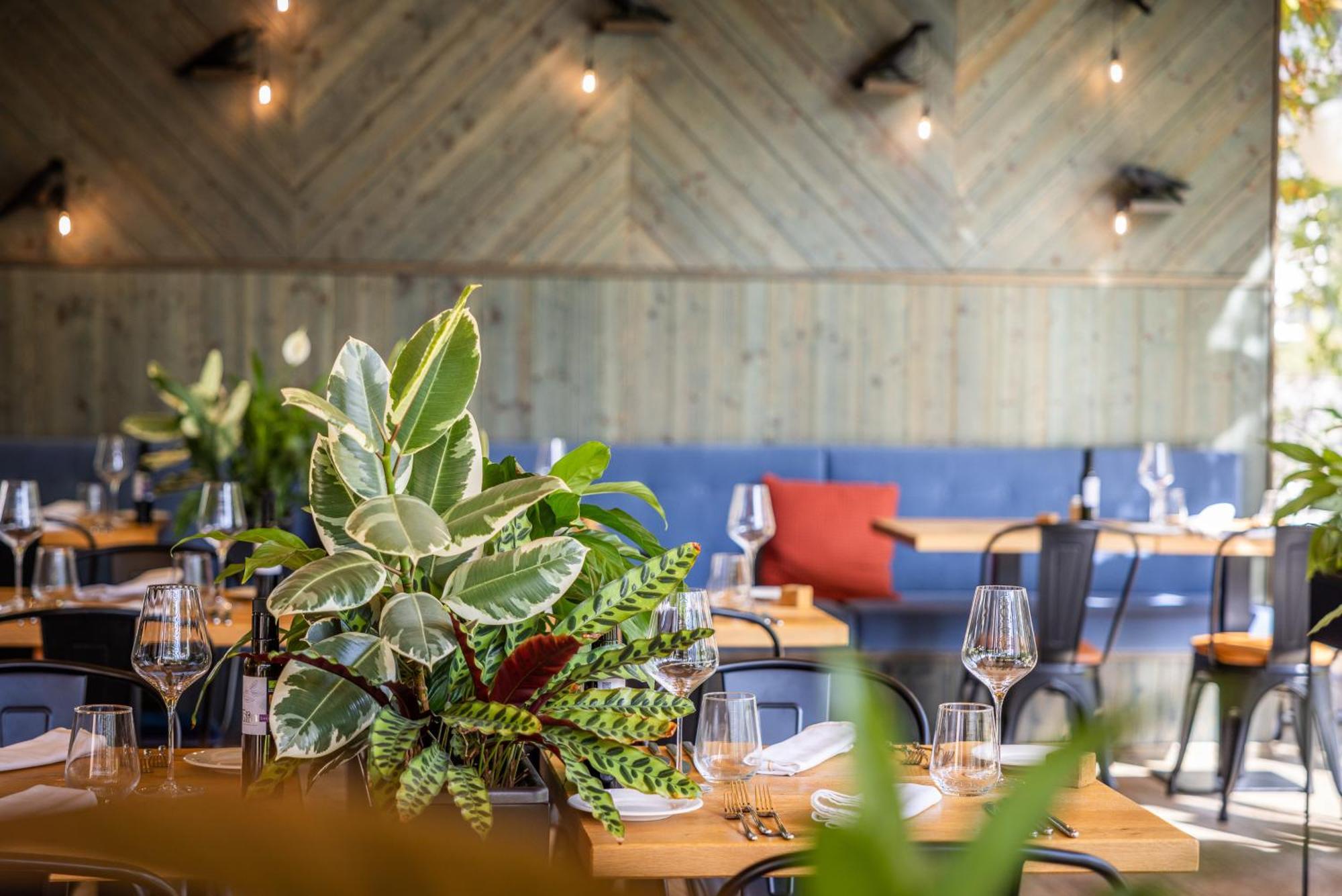 Boutique Hotel Sunrose 7 - Gourmet & Spa (Adults Only) Bohinj Εξωτερικό φωτογραφία
